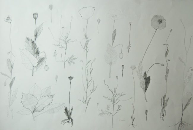 Botanisch patroon en subtiele kleurnuances