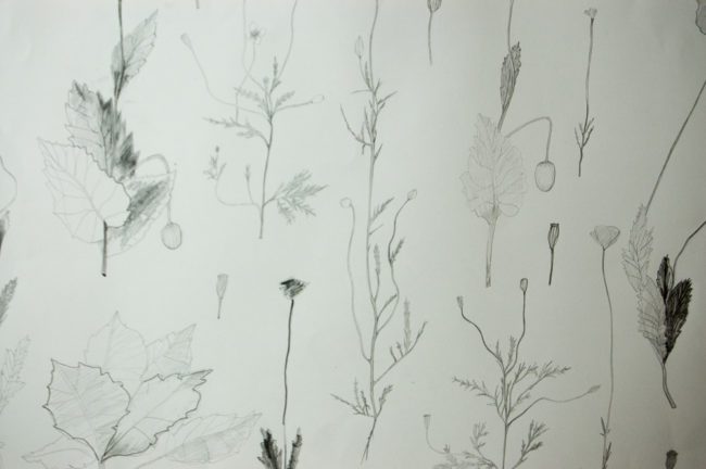 Detail behang met verspreide bloemen en dunne stelen