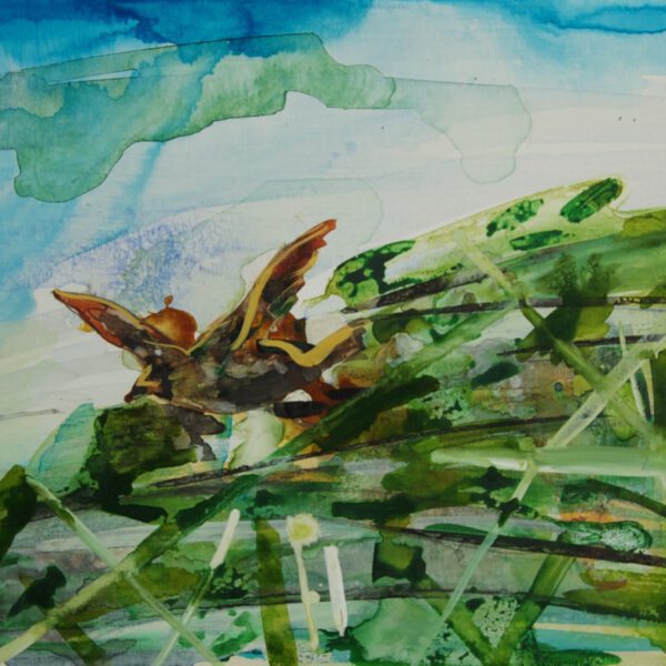 Syncope schilderij 19 duif documentaire installatie figuratie compositie